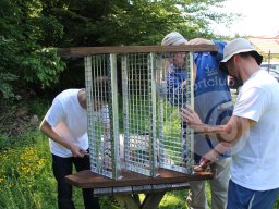 Arbeits &amp; Grilltag Juni 2014