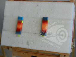 Faschings-Gaudi 2012