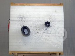 Nikolausschießen 2009