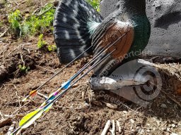 Ramsau Österreich 2019