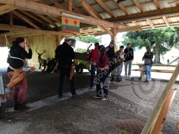 Schwarzwald Bogensporthotel Bad 2013