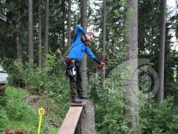 Schwarzwald Bogensporthotel Bad 2013