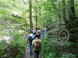 Vereinsausflug Walchensee 2012