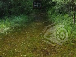 Wasserspiele Juni 2016