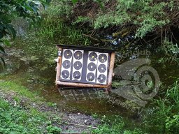 Wasserspiele Juni 2016