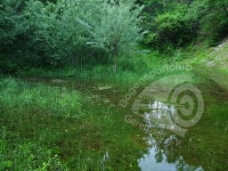 Wasserspiele Juni 2016