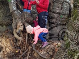 Wessobrunn-Polling September 2018