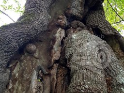 Wessobrunn-Polling September 2018